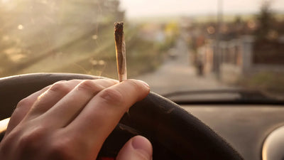 CBD und Autofahren: Wichtige Infos und Empfehlungen für unterwegs