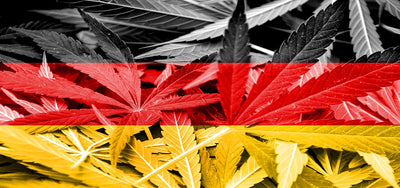 Die Entwicklung der Cannabis Teillegalisierung in Deutschland 2023: Chancen, Herausforderungen und Ausblick