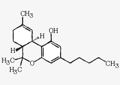 Was ist Hexahydrocannabinol (HHC) eigentlich?