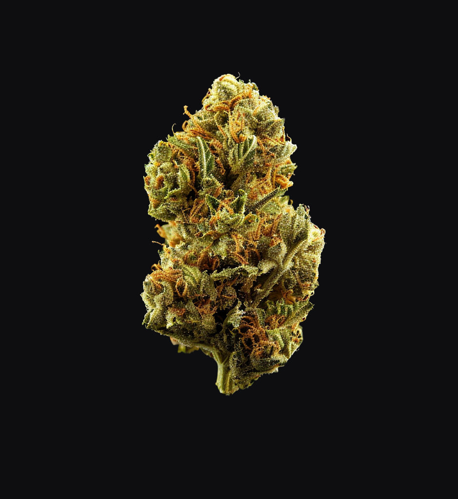 Blueberry x Automatik