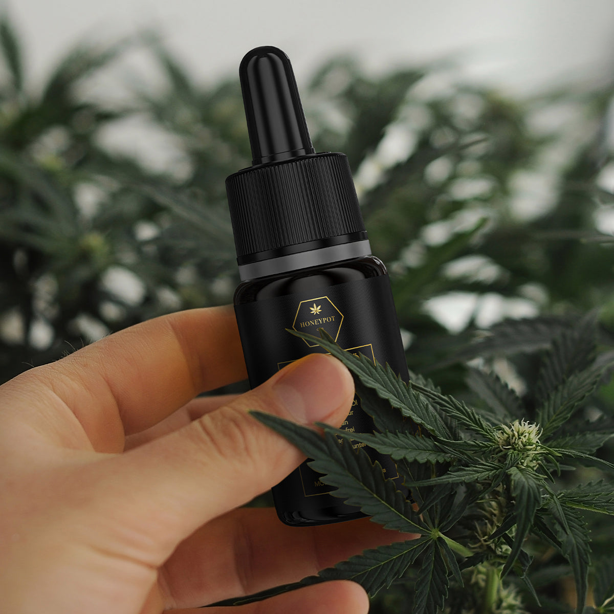 CBD Aroma Öl - 20