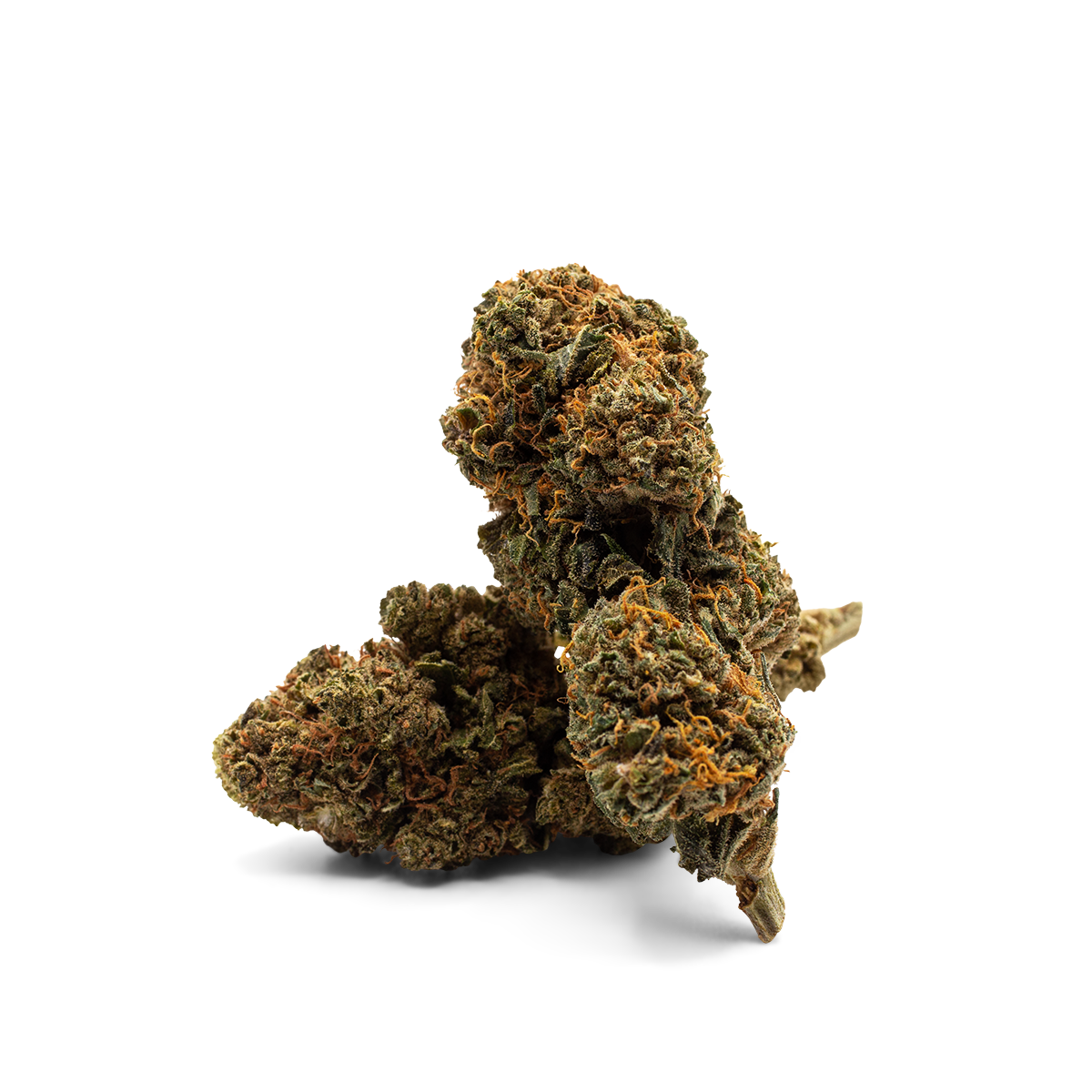 Hanfblüten x Super Lemon Haze